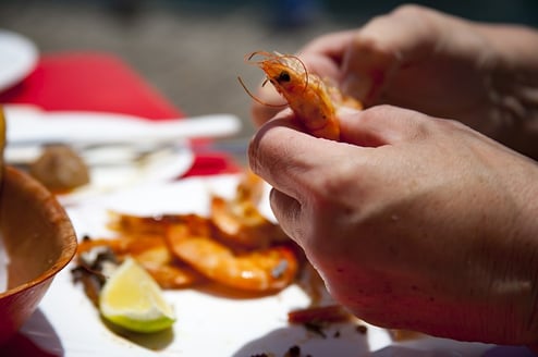 eat-2452430_640